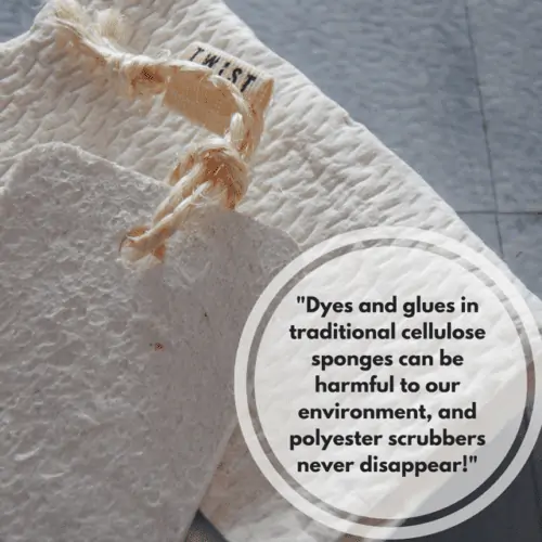 The Dirty Details and Facts on Paper Towels and Sponges | CottageCare