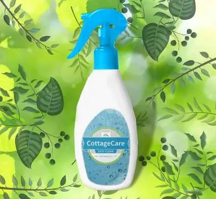 Eco-Friendly Cleaning Products; Pet owners